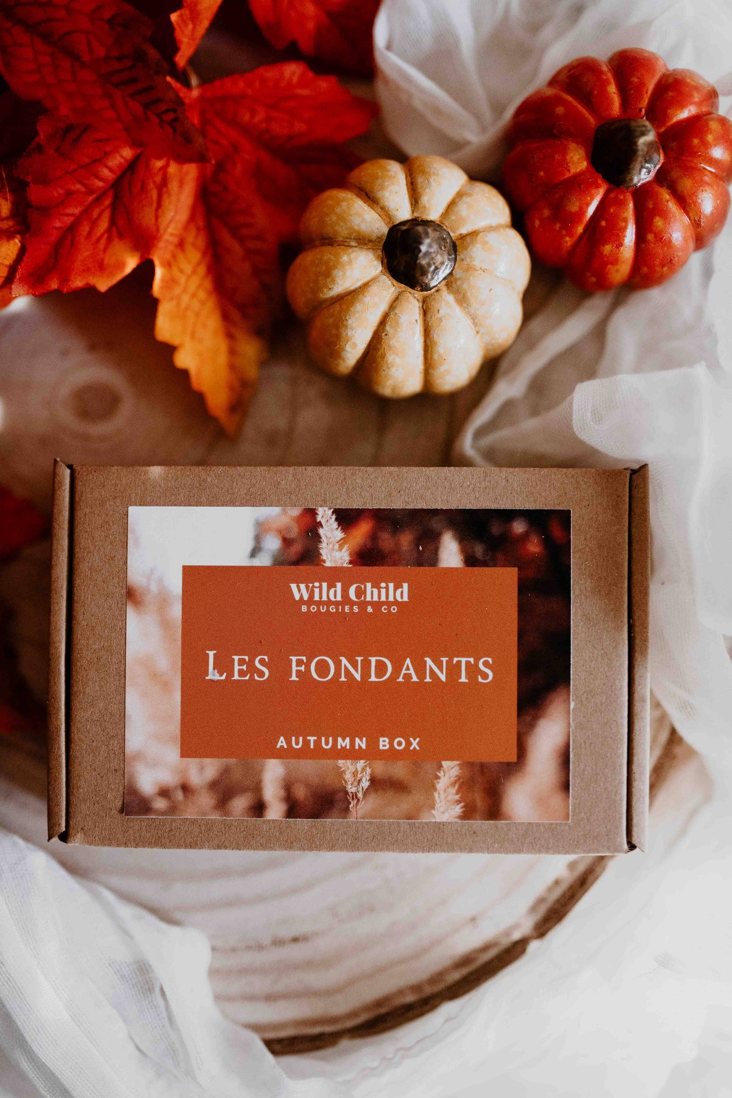 Fondant Box - Autumn