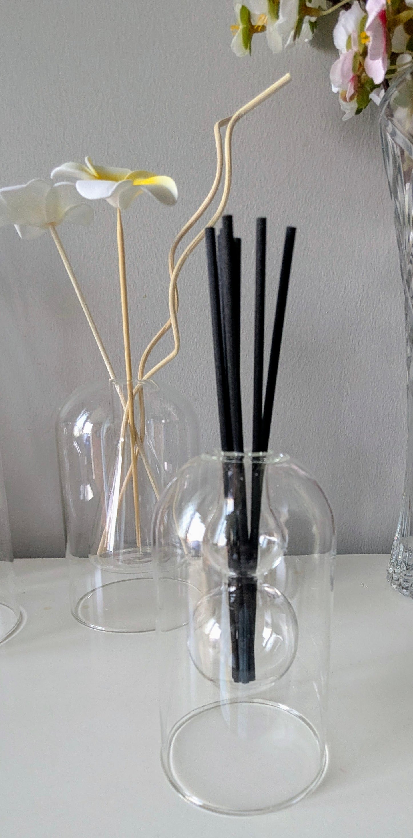 Small Glass Dome Reed Diffuser - Double