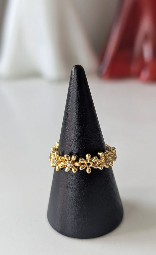 Ring - Bern