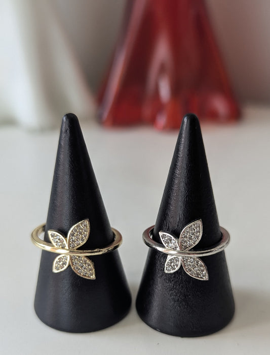 Ring - Paris