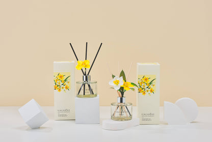 Daffodil Diffuser 120ml - White Musk