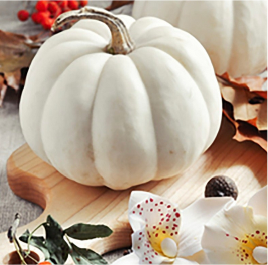 Scented Wax Tablet - White Pumpkin 5h